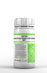 CAPITANO NEGRO FOR REED DIFF. - 4