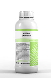 EXTRAMUM - 1