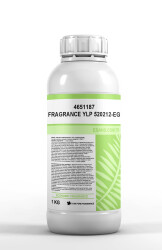 FRAGRANCE YLP 520212-EG - 2