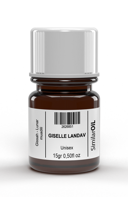 GISELLE LANDAV - Şelale