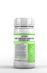 JOE TUBEROSE ANGELICA FOR REED DIFF. - 4