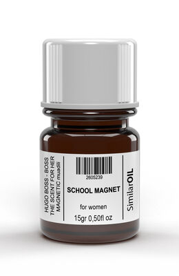 SCHOOL MAGNET - Şelale